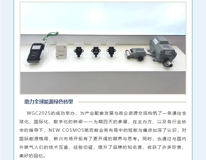 賦能可持續(xù)未來(lái)！熱烈慶賀新宇宙集團(tuán)WGC2025參會(huì)圓滿成功！(圖8)